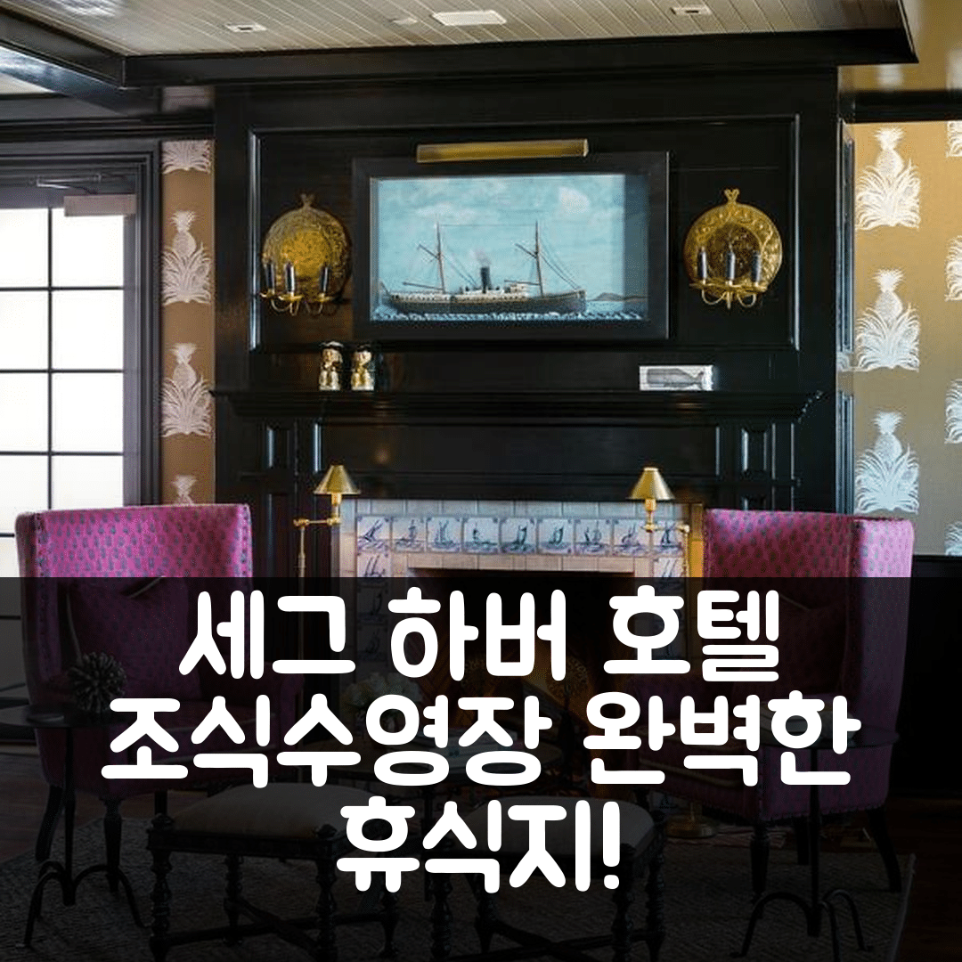 세그 하버 숙소 여행 호텔 추천 바론스 코브 호텔 | 4성급 조식과 수영장으로 완벽한 휴식지 5가지 강조사항