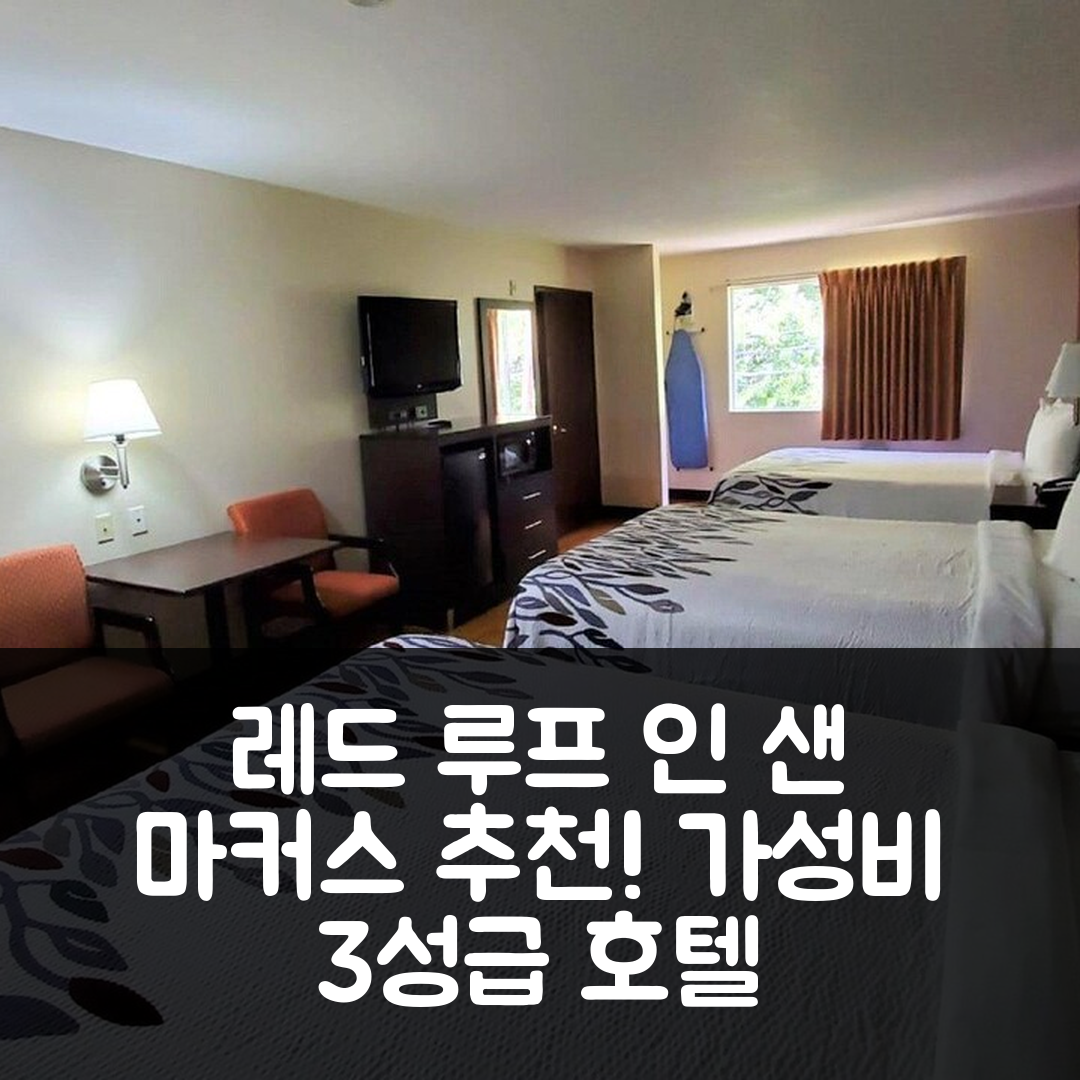 샌 마커스 숙소 여행 호텔 추천 레드 루프 인 샌 마커스 | 가성비 뛰어난 3성급 조식과 편리한 위치 5가지 장점