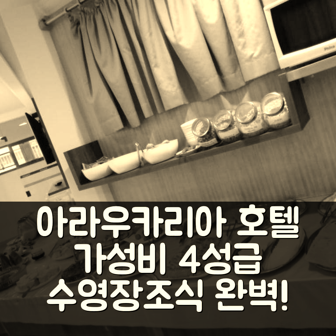 아라우카리아 숙소 여행 호텔 추천 소쿨스키 파크 호텔 | 가성비 좋은 4성급 조식과 수영장 정보 6가지