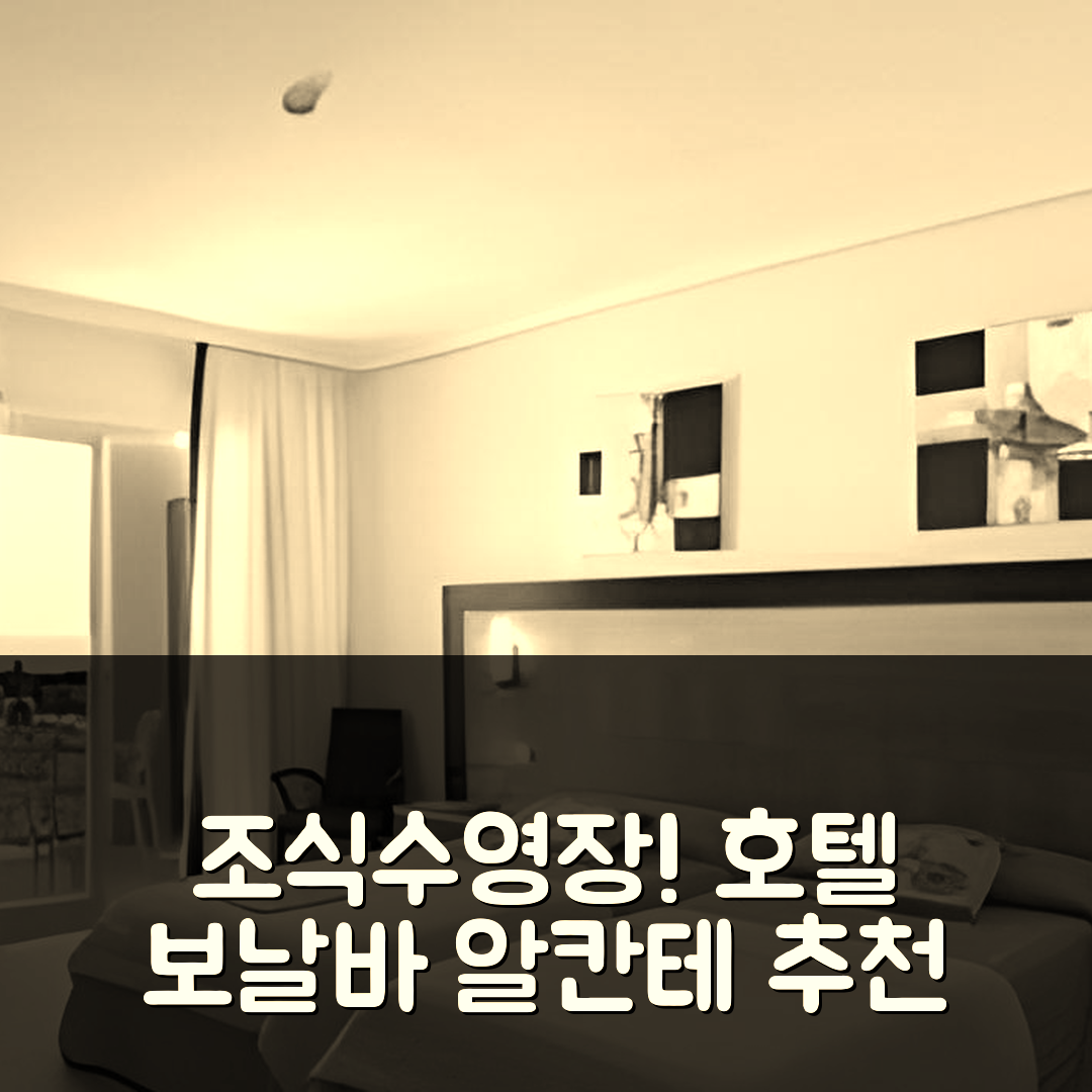무특사멜 숙소 여행 호텔 추천 호텔 보날바 알칸테 | 조식과 수영장이 매력적인 5가지 이유