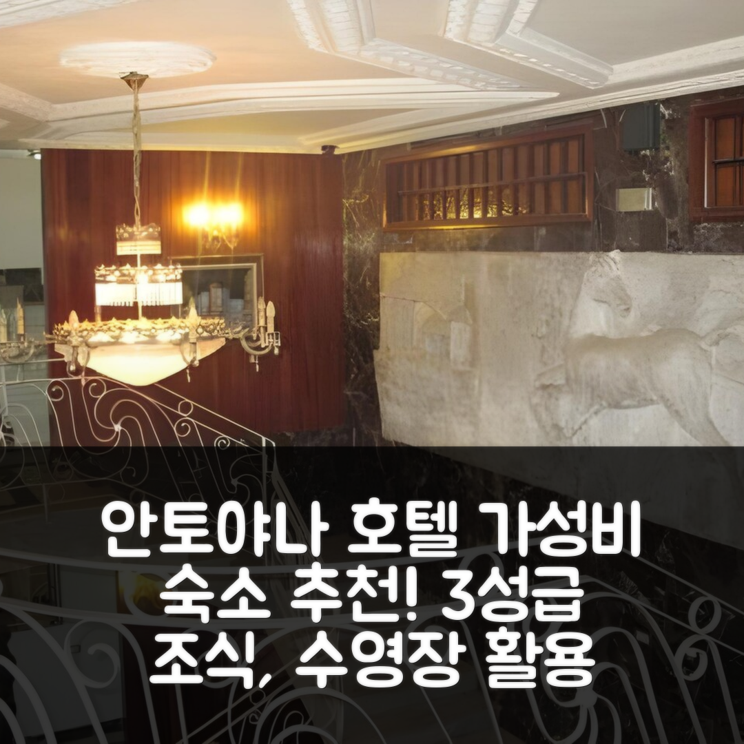 산탄데르 숙소 여행 호텔 추천 안토야나 호텔 | 가성비 뛰어난 3성급 조식과 수영장 정보 5가지