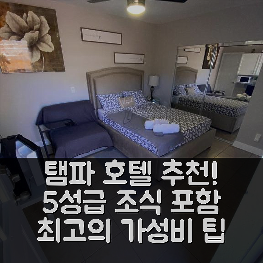 탬파 숙소 여행 호텔 추천 루크셔리 코지 스튜디오 | 5성급 조식과 가성비 요금으로 완벽한 선택 7가지 팁