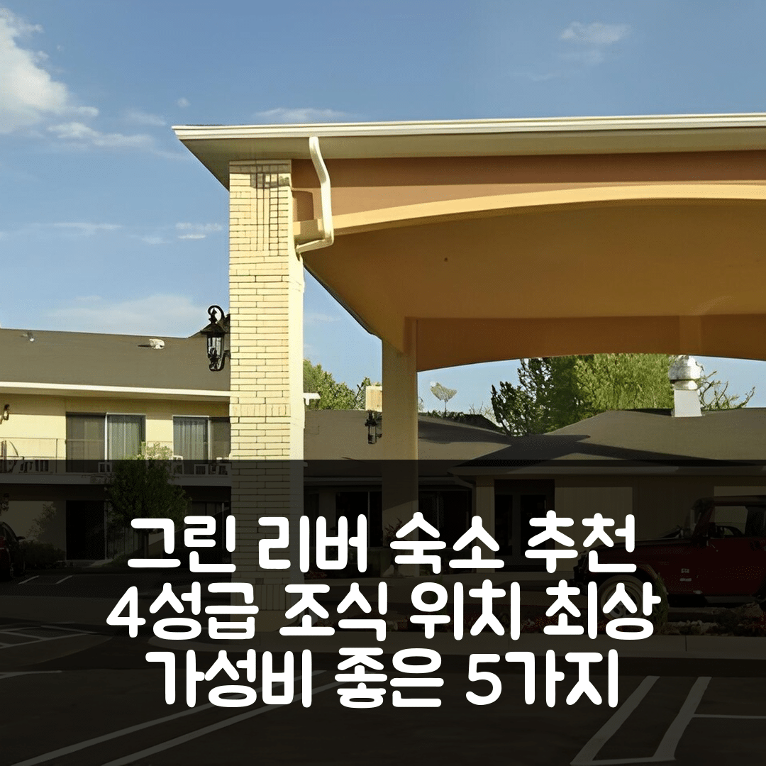 그린 리버 숙소 여행 호텔 추천 리버 테라스 그린 리버 | 4성급 조식과 위치가 매력적인 가성비 좋은 5가지 이유