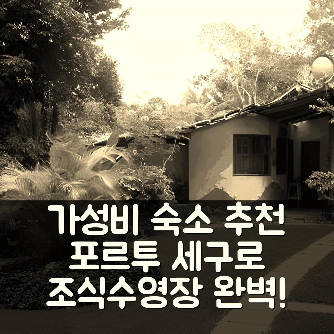 포르투 세구로 숙소 여행 호텔 추천 파우사다 두 보스케 | 조식과 수영장으로 즐기는 가성비 5가지 이유