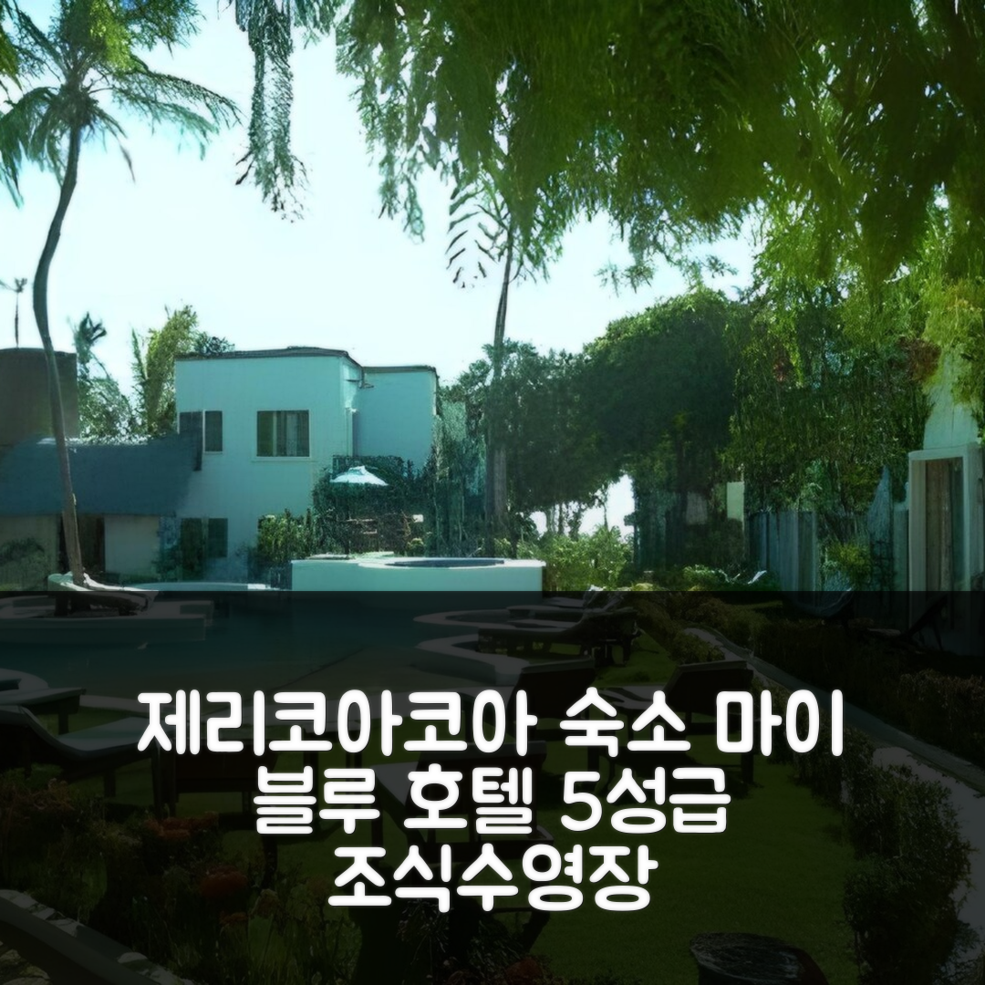 제리코아코아라 숙소 여행 호텔 추천 마이 블루 호텔 | 5성급 조식과 수영장 가성비 최고의 위치 7가지