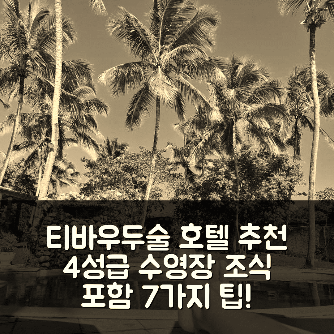 티바우두술 숙소 여행 호텔 추천 샬레 17 포르투 두 솔 | 4성급 수영장과 조식이 매력적인 7가지 팁