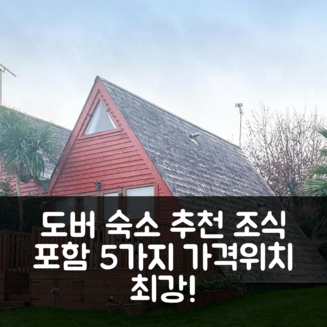 도버 숙소 여행 호텔 추천 포피 로지 | 가격과 위치가 뛰어난 조식 포함 5가지 이유