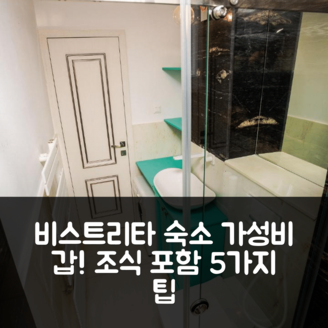 비스트리타 숙소 여행 호텔 추천 아파트멘트 아마야 | 가성비 뛰어난 위치와 조식 정보 5가지 안내