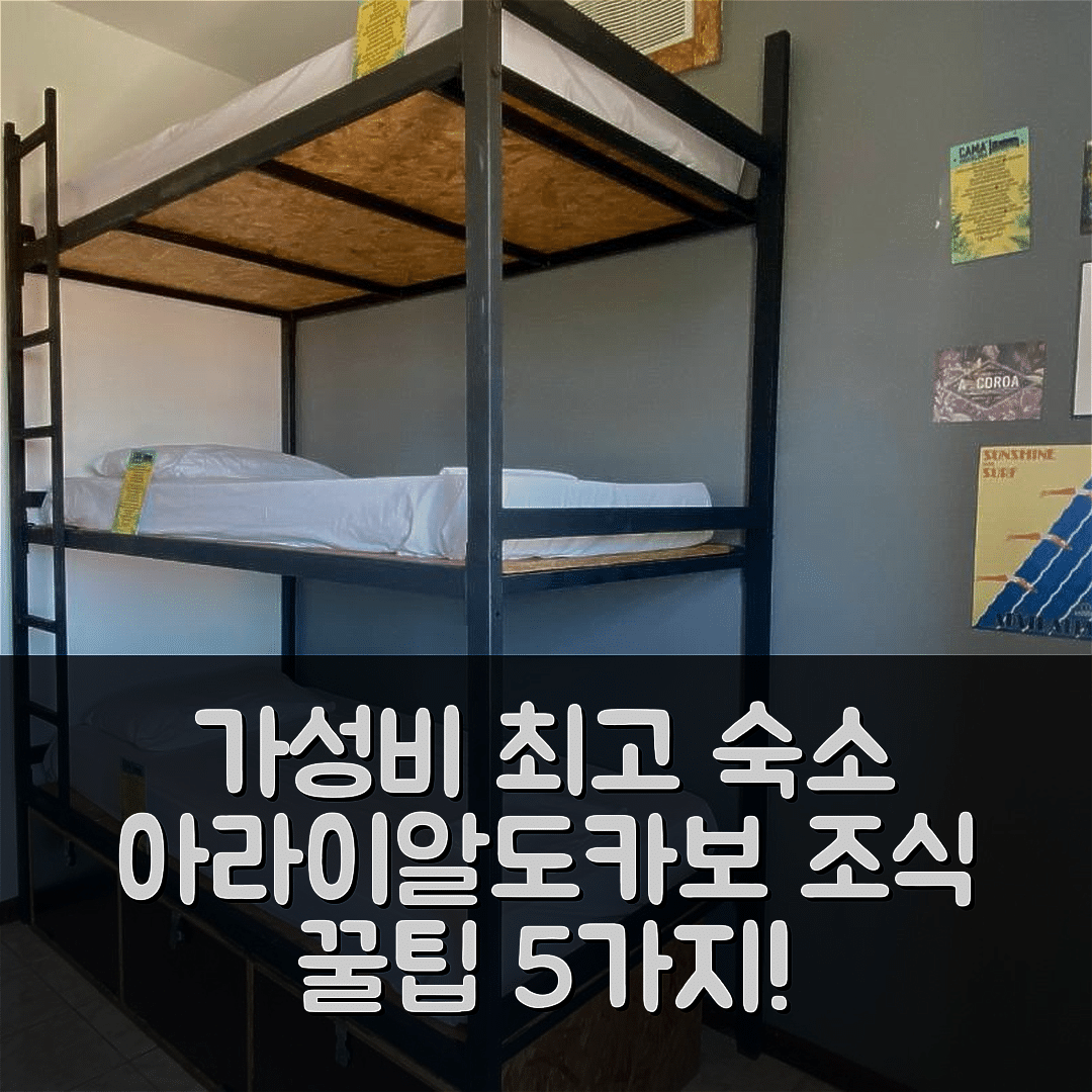아라이알도카보 숙소 여행 호텔 추천 아 코로아 호스텔 앤 스위트 | 가성비 뛰어난 위치와 조식 정보 5가지 팁