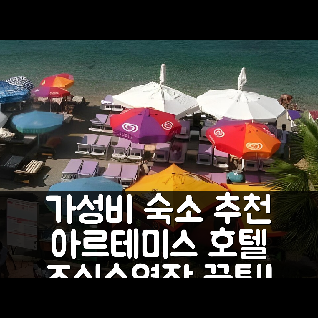보드룸 숙소 여행 호텔 추천 아르테미스 호텔 보드룸 | 가성비 뛰어난 조식과 수영장 정보 7가지