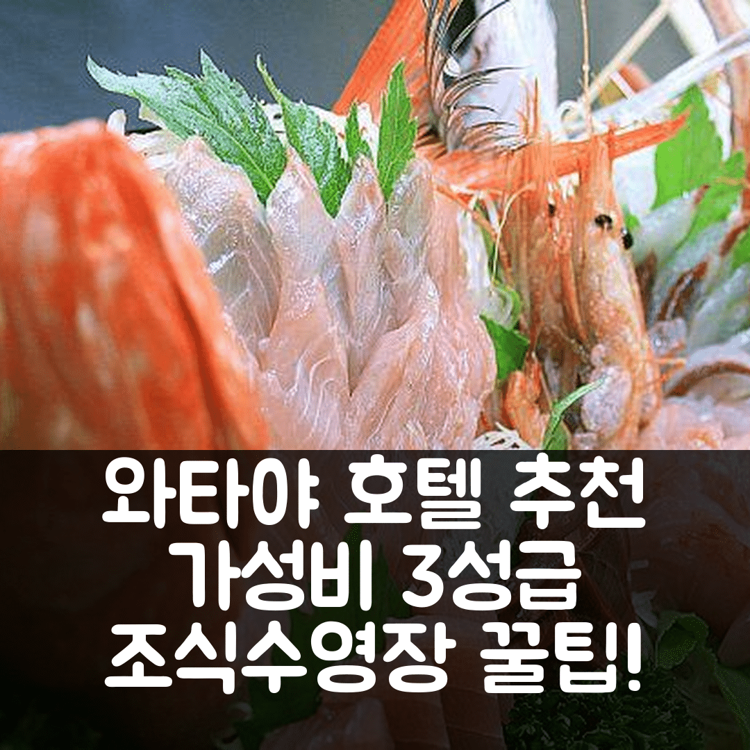 이즈 숙소 여행 호텔 추천 와타야 호텔 | 가성비 뛰어난 3성급 조식과 수영장 정보 7가지